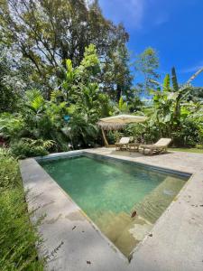 Manzanillo Pool House