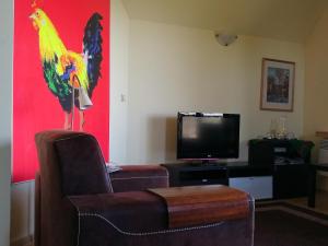 Apartament z kogutem
