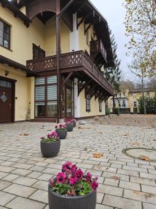 Villa Musik - historical apartments, Baden