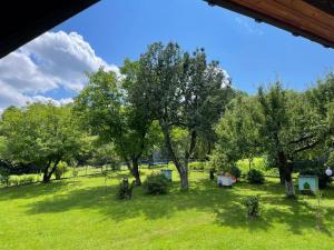 Agroturystka Dom w Owocowym Sadzie