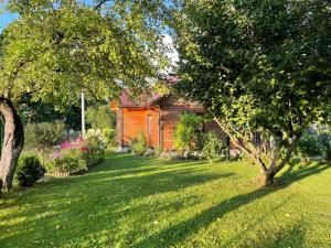 Agroturystka Dom w Owocowym Sadzie