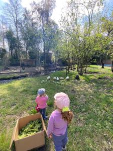 La Hortensia Aldea Molco