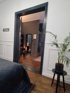 Hej Bydgoszcz - Apartament LUX przy Starym Rynku