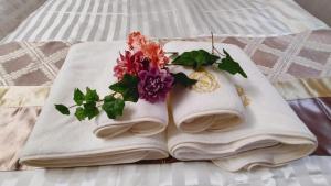 Soleil Tanimachi 401 - Vacation STAY 18622