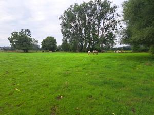 Familienparadies auf dem Reiterhof