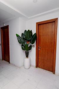 Appart Julia Gammarth Sup