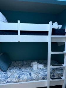 Ocean Views - Heated Pool - Hot Tub - Corner Unit - steps to beach - Shoreline Stays 9229