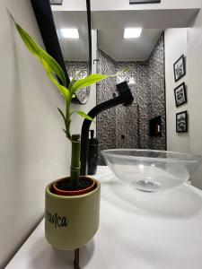 APTO 401 - no centro, pertinho de tudo