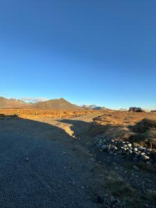 Tiny Cabin Under the Northern Lights