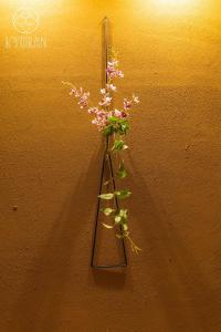 Kyoran [Phantom Flower Residence] - Vacation STAY 80036v