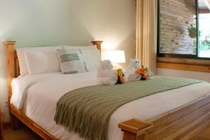 TREE TREK BOQUETE Adventure Park