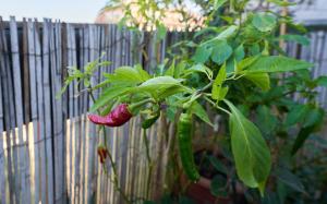Attico con Terrazzo - Milano Centrale - Duomo 10min