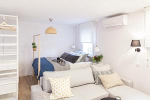 Charming Madrid lofts