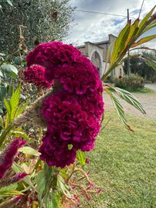 Nuraximannu Boutique B&B img37