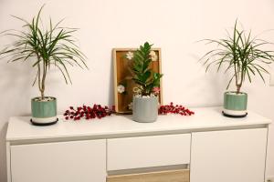 Hushu Apartment Giroc near Timisoara