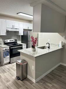 A full-fledged apartment with overlooking the lake