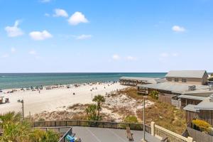 Perching Pretty at Sunbird