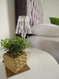 Colibrí, Tourist apartment