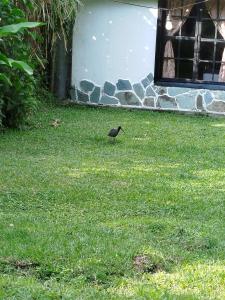 Chalet Acogedor en Combia con piscina privada