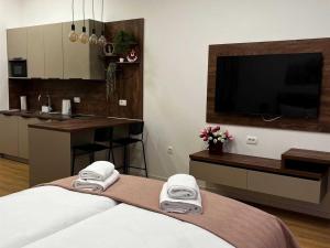 Like Zagreb - Downtown Apartment - Studio Apartment Studio 2