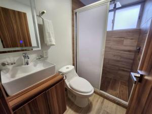 20 Espectacular LOFT Consulado