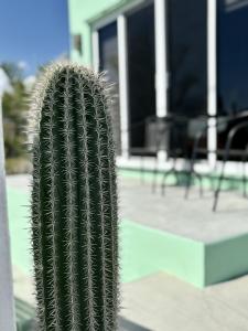 Cozy house 1br with Panorámica terraza