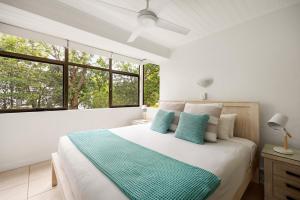 Tea Trees 5 Coastal Calm near Hastings St