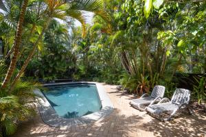 Tea Trees 5 Coastal Calm near Hastings St