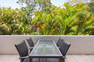 Tea Trees 5 Coastal Calm near Hastings St