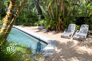 Tea Trees 5 Coastal Calm near Hastings St