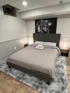 Modern, basement apartment, close to airport