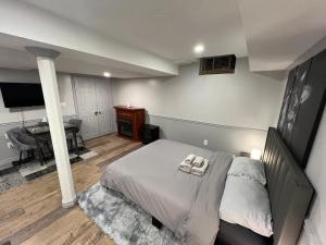Modern, basement apartment, close to airport