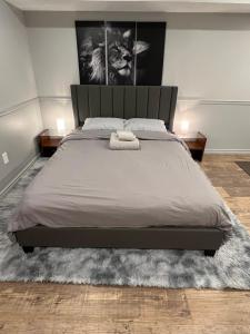 Modern, basement apartment, close to airport