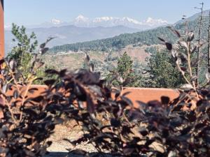 Panchwati Farms Homestay