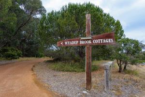 Wiry Wattle - Wyadup Brook Cottages