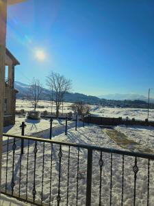 Bakuriani Circle Apartment 104 - Tsakadze street 20