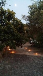 One-Bedroom House room in Agriturismo Tenuta La Siesta