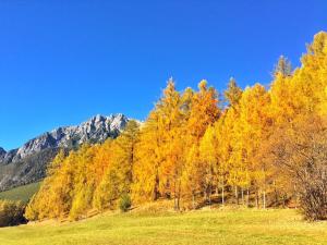 Landhaus Postmeister