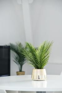 Le Clery Aeroport Disney transfert