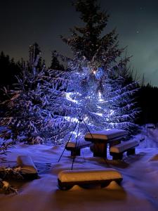 WRÓBLOWA CHALET przy Dolinie Chochołowskiej