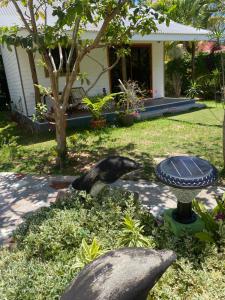 Linsen Selfcatering Apartments