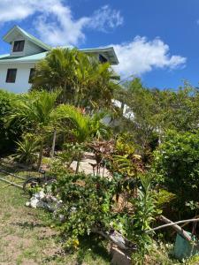 Linsen Selfcatering Apartments