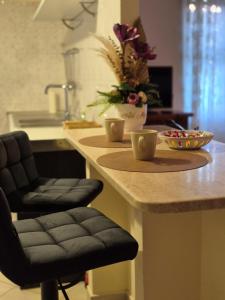 Elegantia Domina apartment in the center