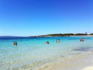 Pineta Spiaggia Grande img27