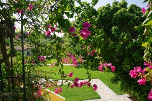 Sandy Beach Villas and Apartments Kefalloniá Greece