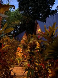 Buena Onda Bungalows