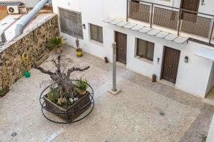 NOMADIA en AVENIDA VELAZQUEZ