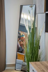 Aether, Light Modern Living