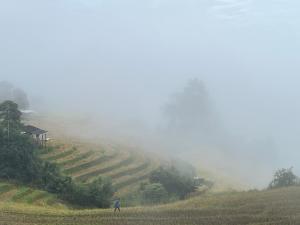 MonNaPaBongPiang Homestay ม่อนนาป่าบงเปียง โฮมสเตย์