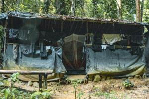 Bukit Lawang Joint Trekking Loge & Transport